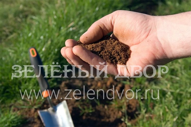 Кислотность почвы определяет показатель pH