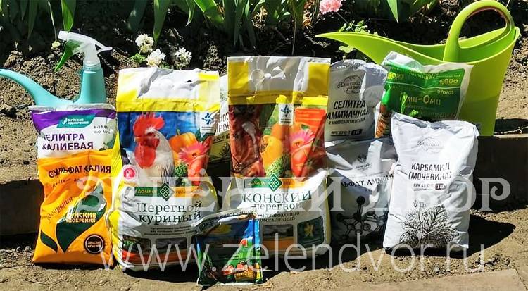 Удобрения для садовых растений