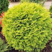 Голден Глобе