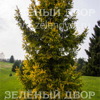 Вид 2