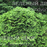 Вид 2