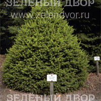 Вид 2
