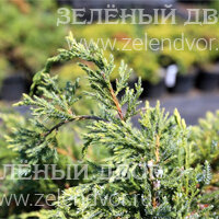 Вид 2