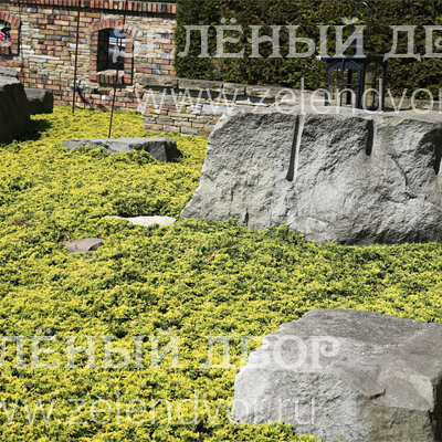 Вид 1