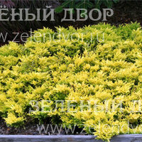 Вид 4