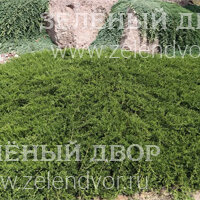 Вид 4
