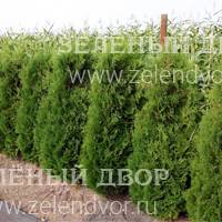 Вид 2