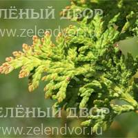 Вид 2