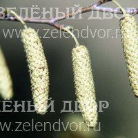 Вид 4