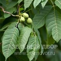 Вид 2