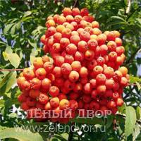 Вид 2