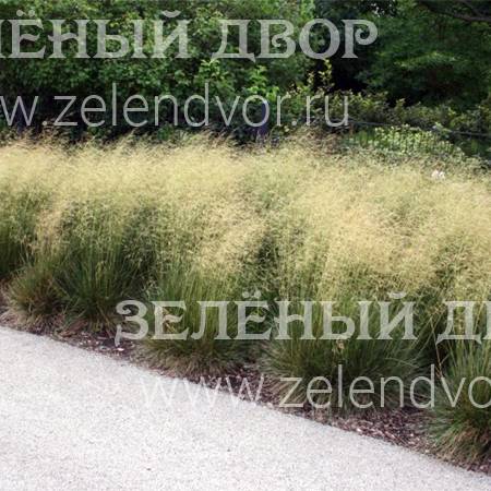 Вид 1